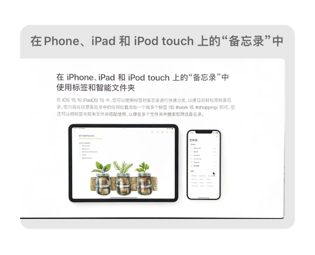 备忘录格式(iPhone自带「备忘录」，你真的会用吗？)