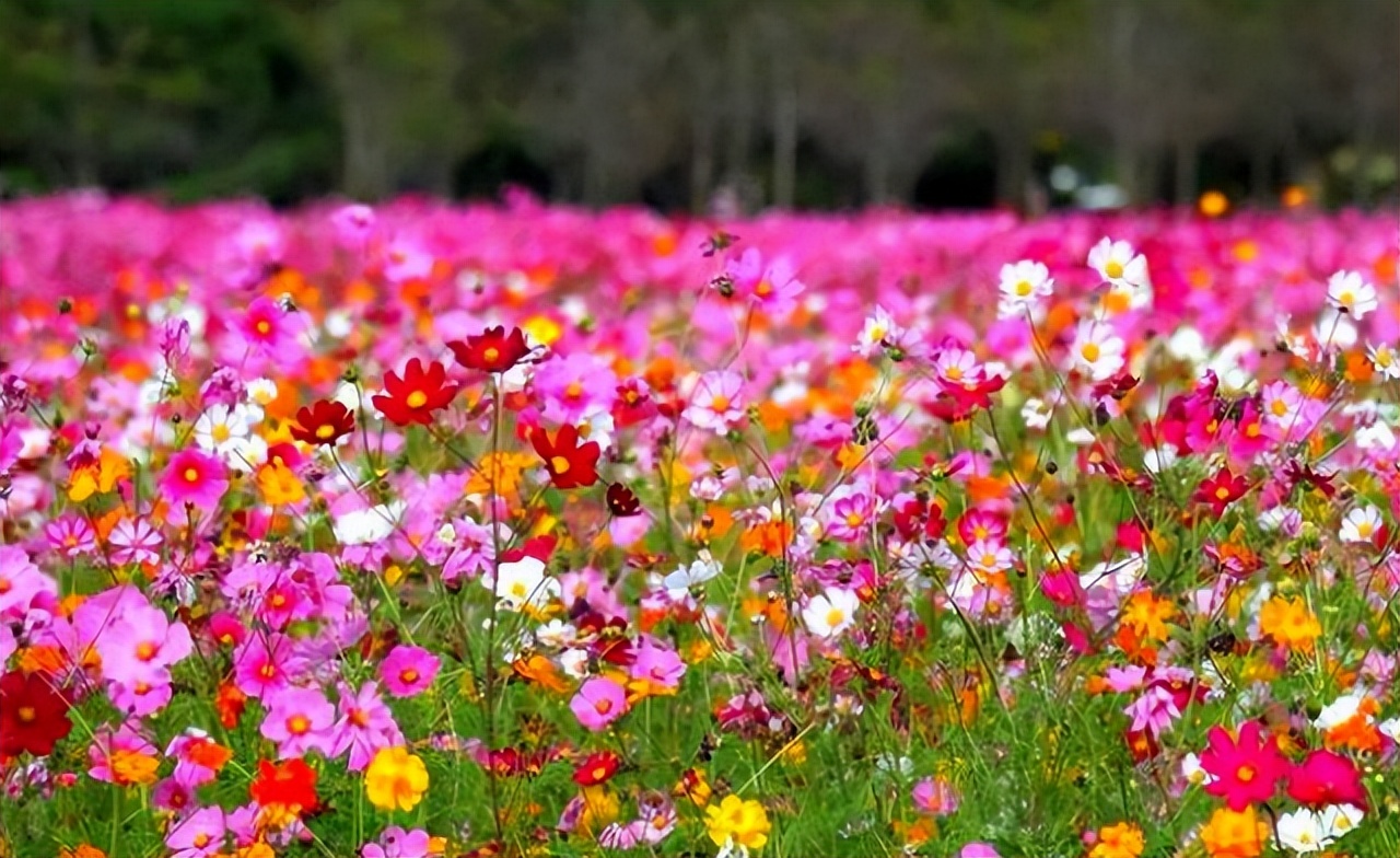 2019年，那个在泰国被丈夫推下悬崖后生还的中国孕妇，后来怎么样