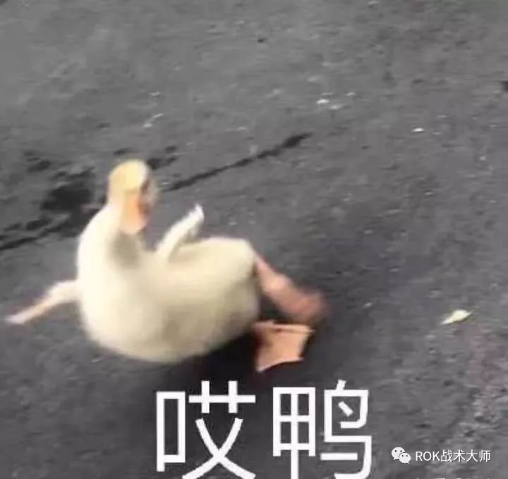 万国觉醒丨征服者威廉实测（下）