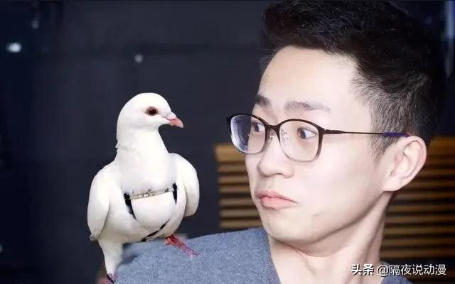 用2000万“解封”的B站LEX,究竟有多值钱?叔叔为何不能失去他?