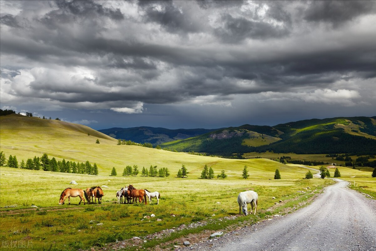 男人虚了怎么办（男人肾虚怎么办？中医：这样调理很管用）