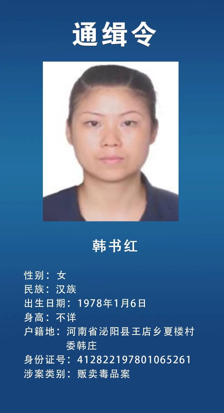 网上通缉犯,网上通缉犯怎么查
