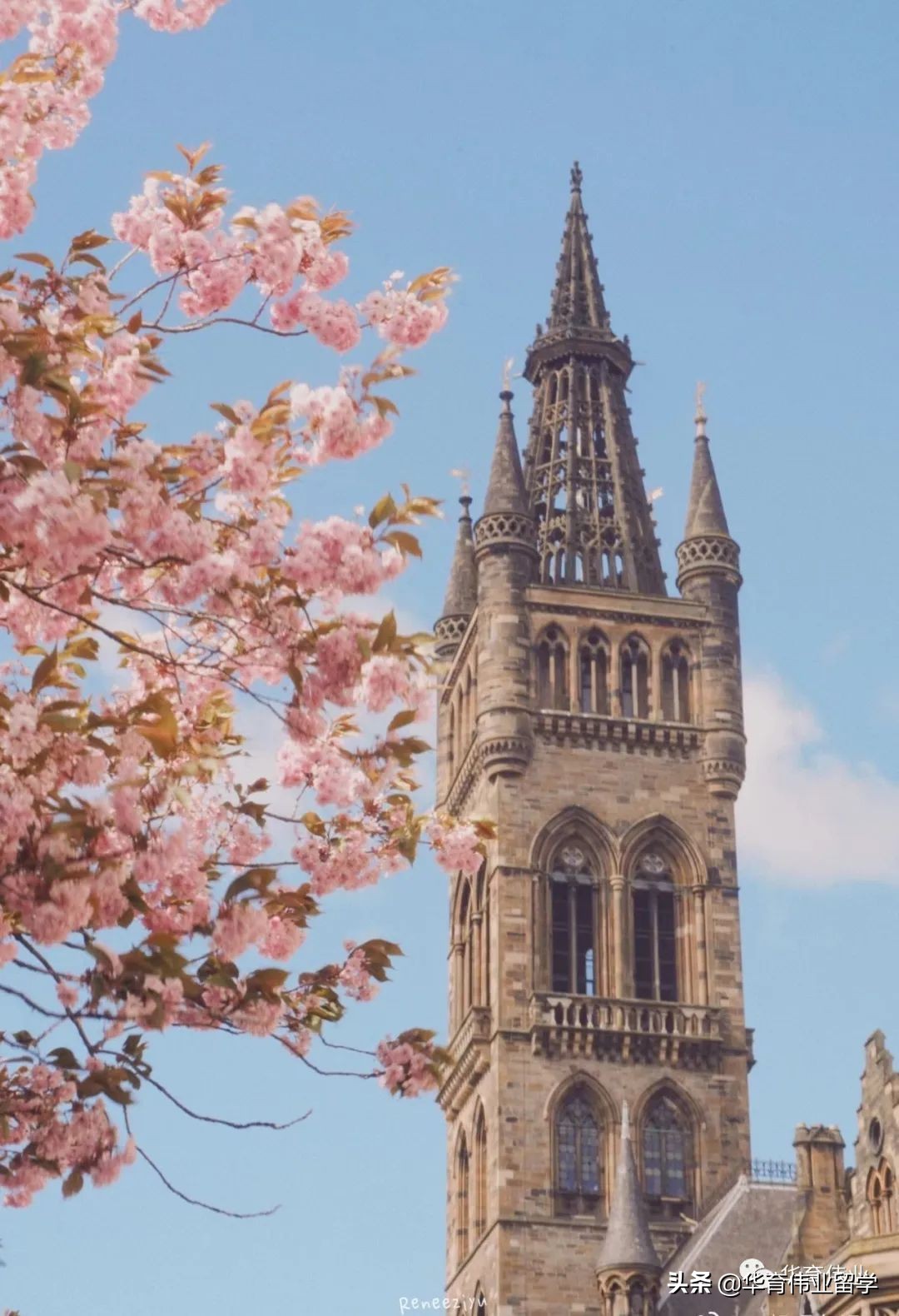 英国硕士毕业后我回国进央企做HR，负责校招的我想给你一点忠告