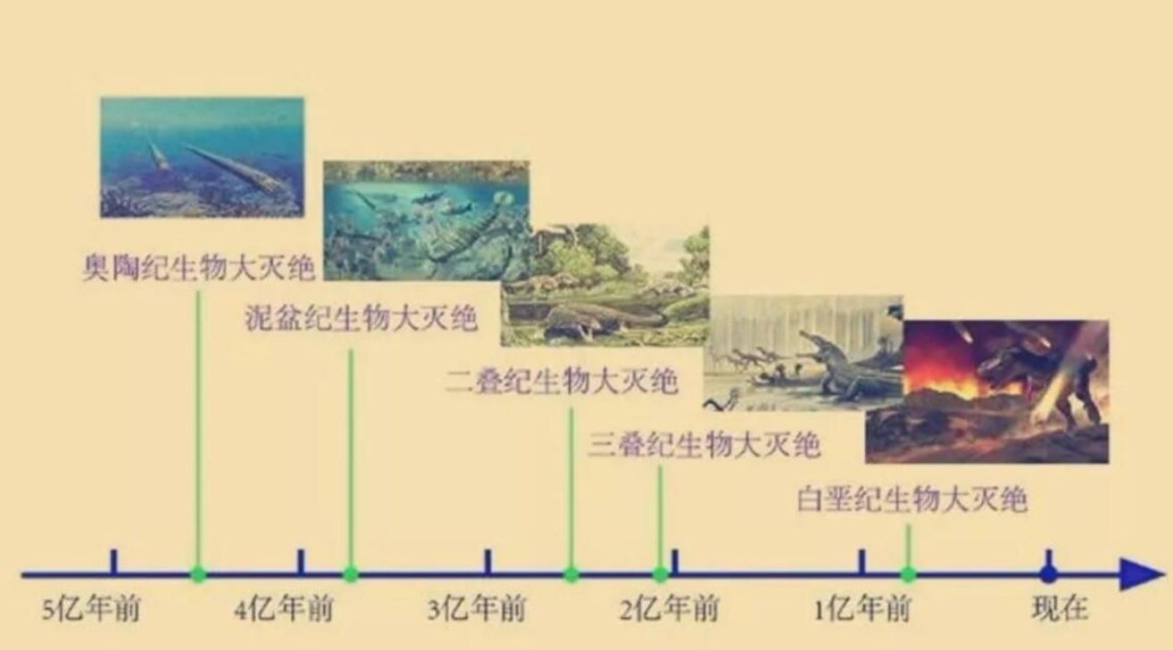 恐龙灭绝6500万年前恐龙灭绝了