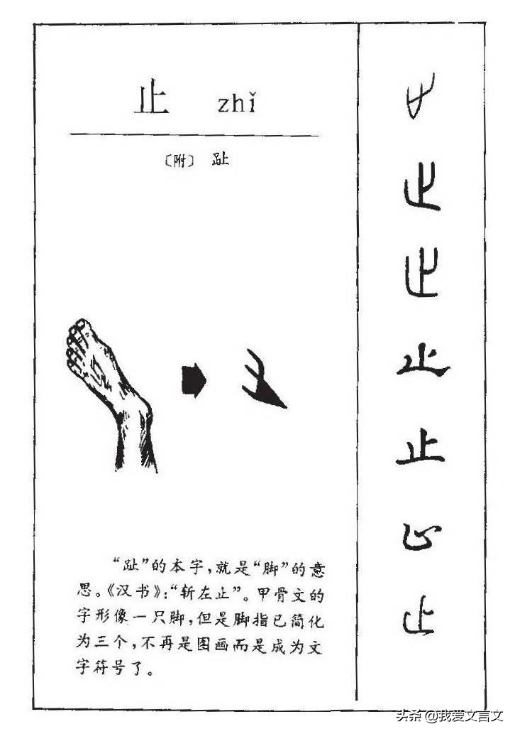 经典文言文赏析 | 喜戴高帽