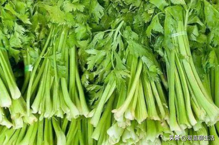 建議中老年人，這6種食材要常吃，便宜又鮮美，常吃身體好有精神