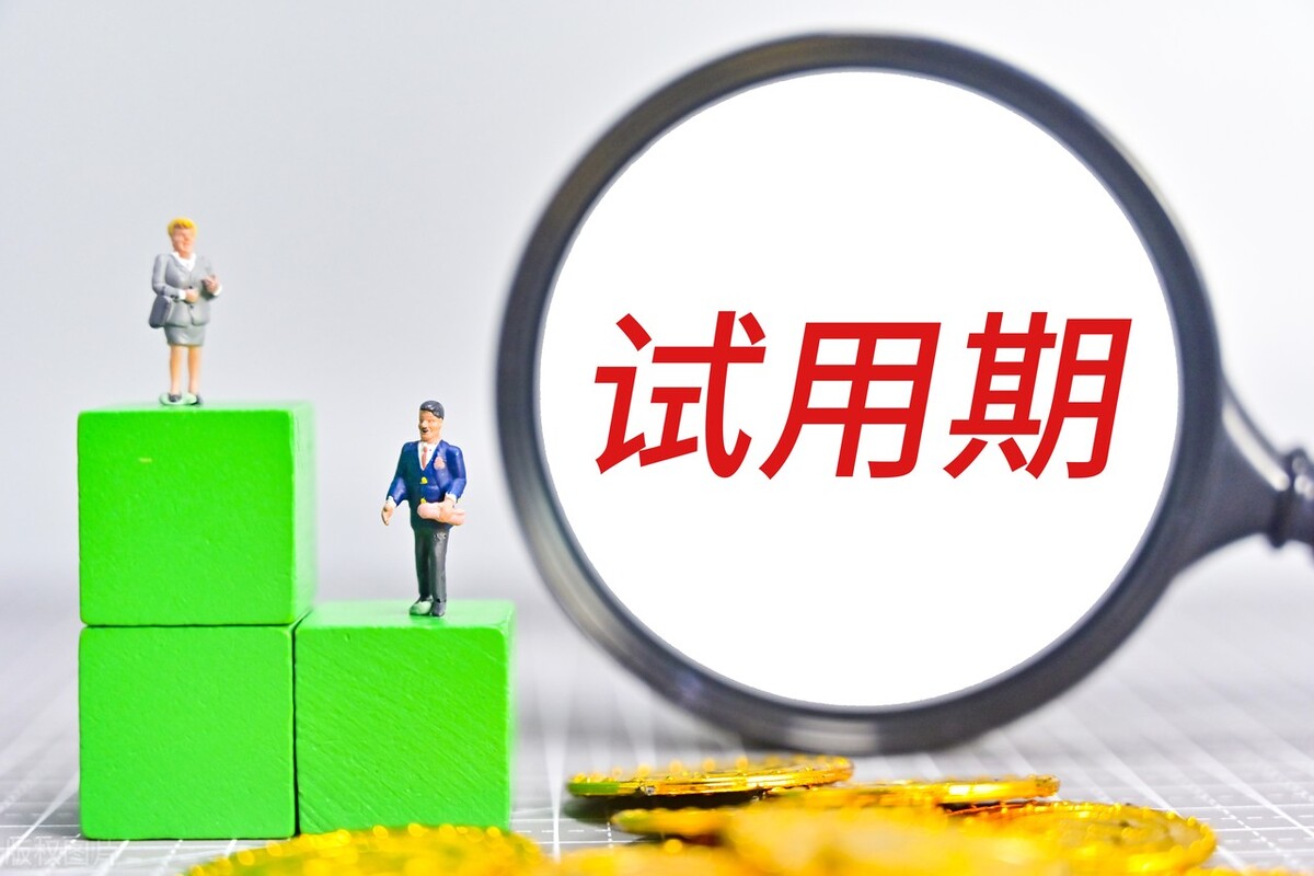 国企试用期工作总结800字