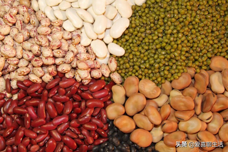 立夏后吃肉不如吃豆，這8種豆富含植物蛋白，常吃身體健康好過夏
