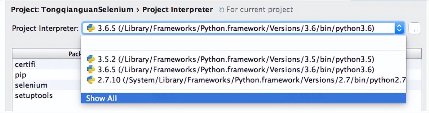 csdn涨薪技术-Selenium自动化测试全栈总结