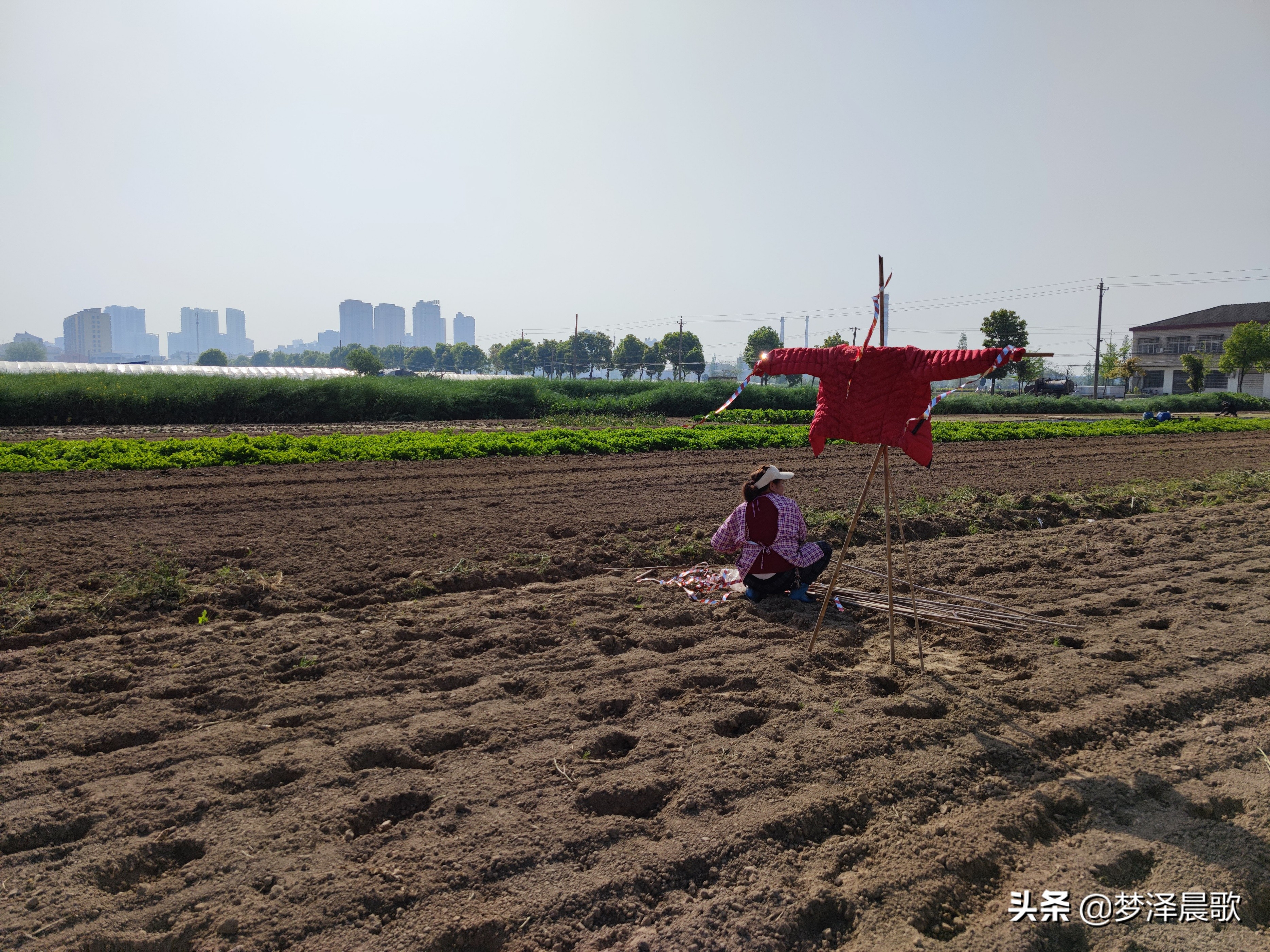 春日，乡村独特的“风景”