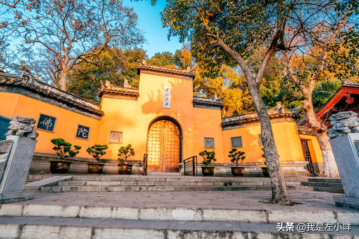 上海2022成人高考本科开始了吗