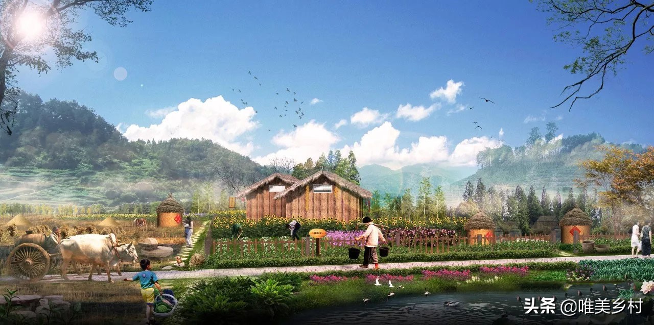 到2025年建设1000家国家级生态农场？五大分区必不可少，这样操盘