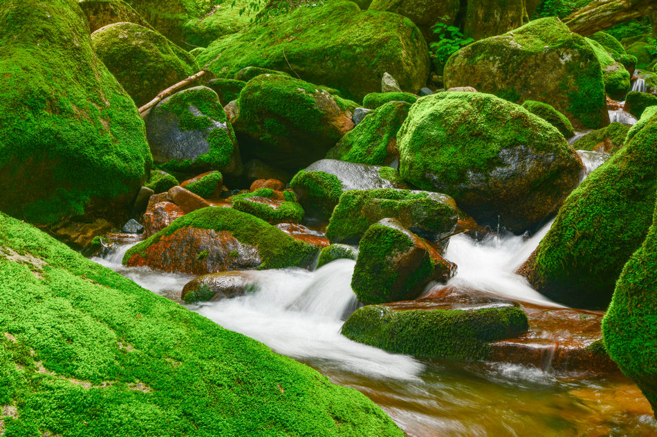 天水桃花沟里水潺潺