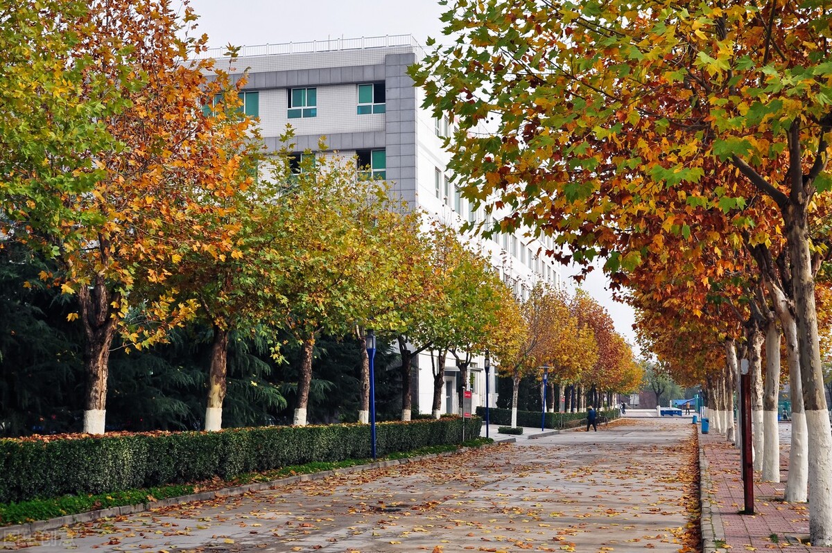 没有人告诉你，这四所警校也在单招里招生，管理严格，学生质量高