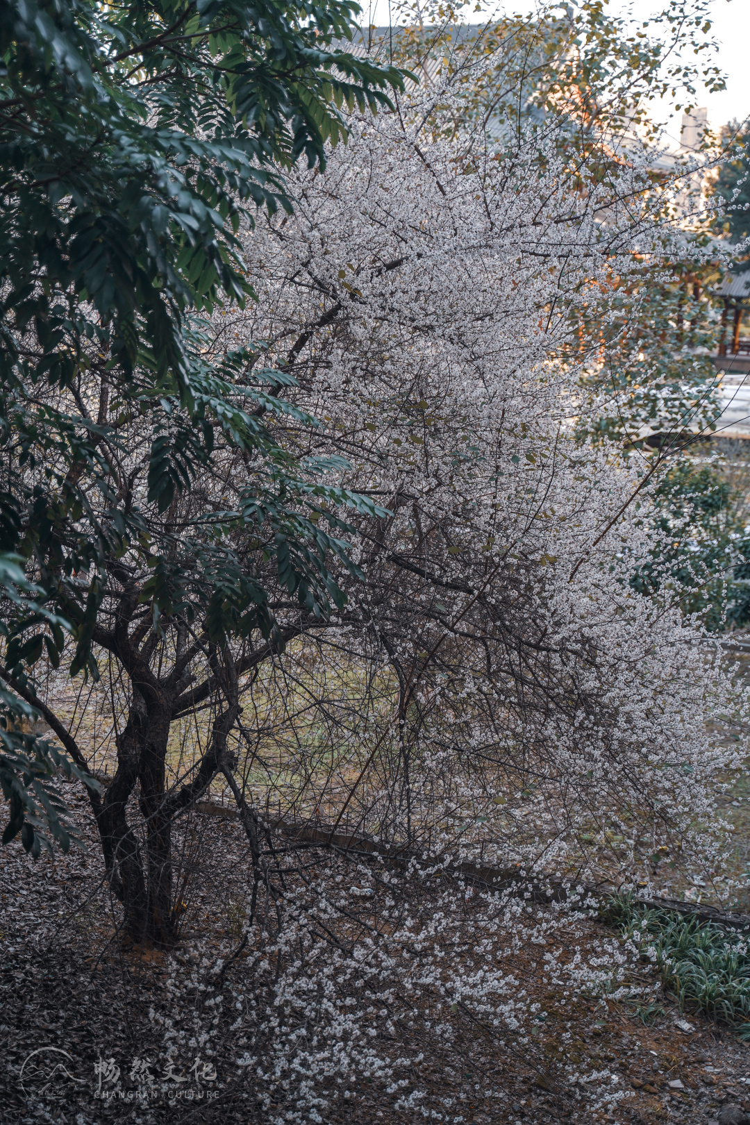 福州旗山万佛寺（福州旗山万佛寺图片）-第49张图片-科灵网