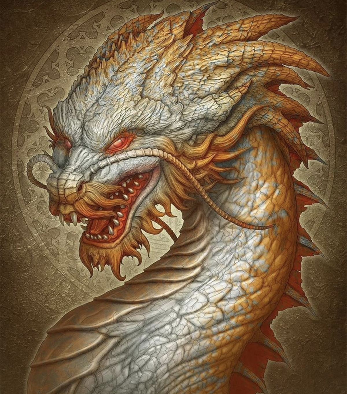 不同种类的巨龙