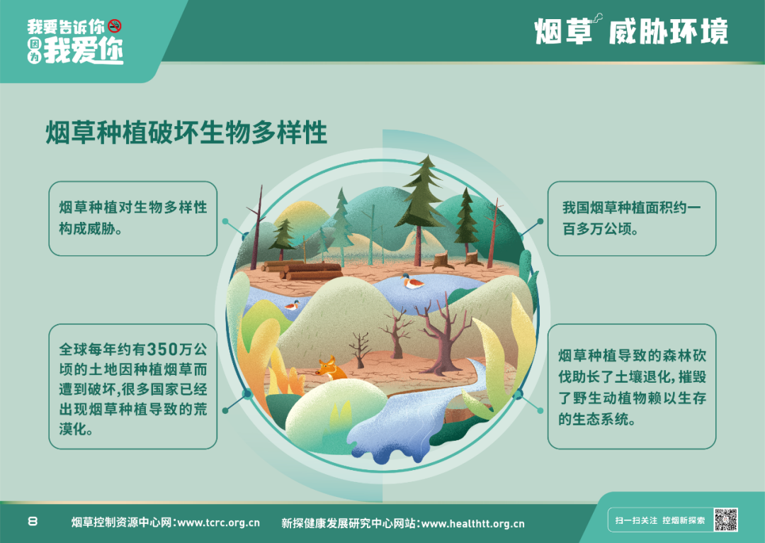 远离烟草，爱护环境｜双流区黄甲小学积极开展世界无烟日宣传工作