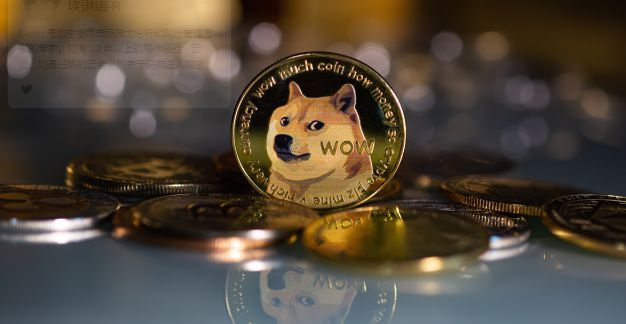 马斯克收购 twitter 泰国普多师傅情降中受益的人可能并不多,但 doge