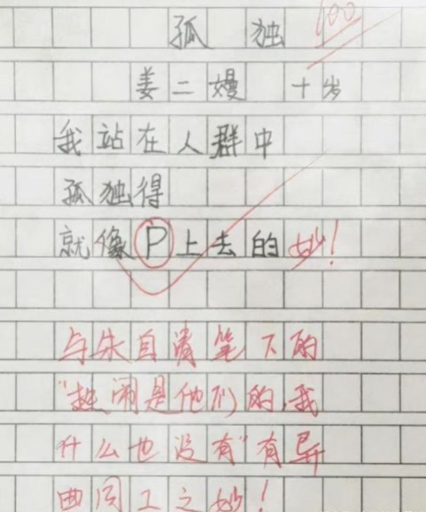 《我的小姨》一片小学生作文