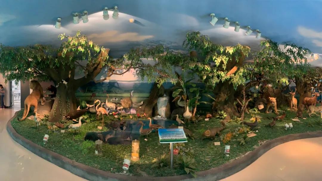 建筑面积820平米！湖北“超火”标本馆,上榜省级名单，可免费参观