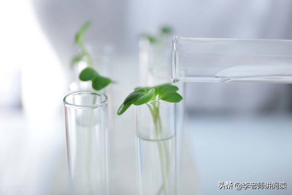 期末复习：现代文阅读之说明文句段的作用