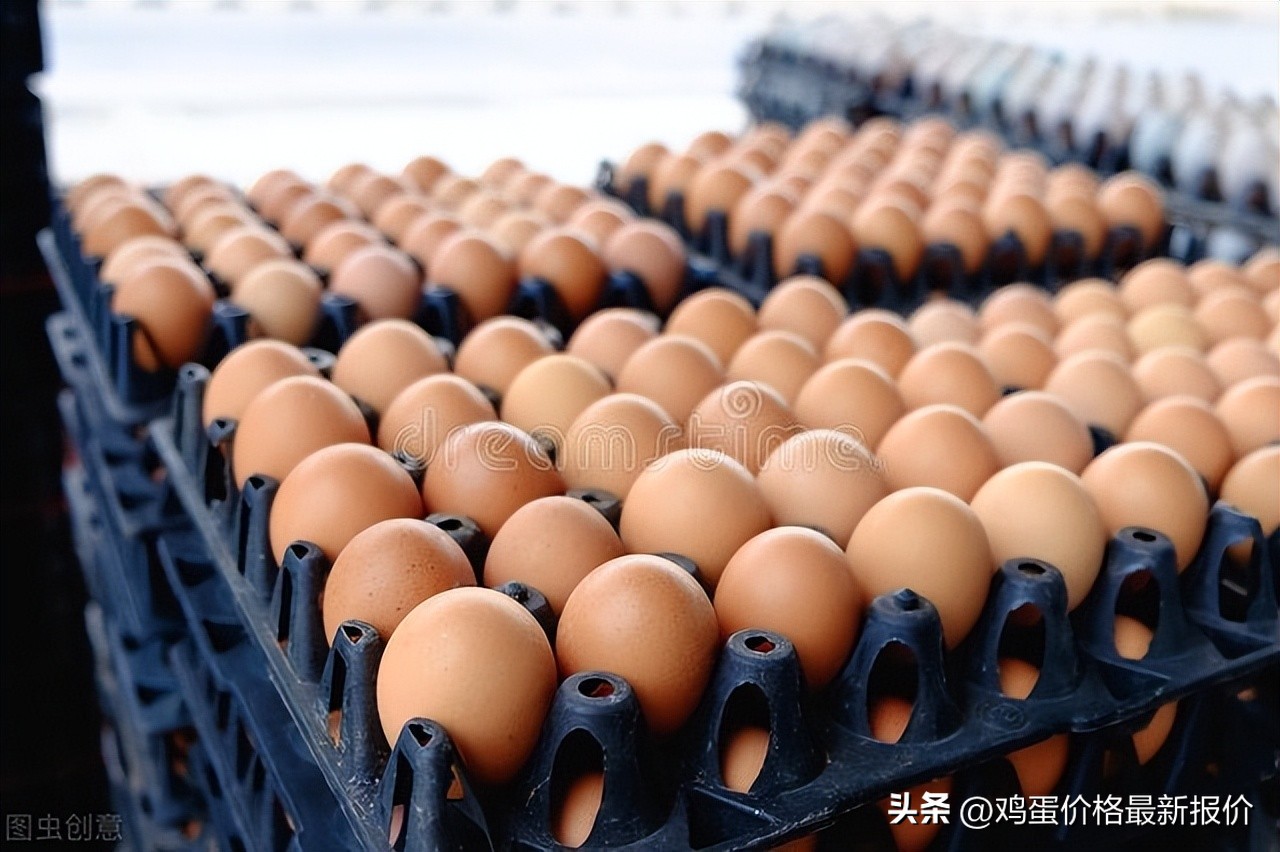 北京再涨！2022年8月14日鸡蛋价格行情早报