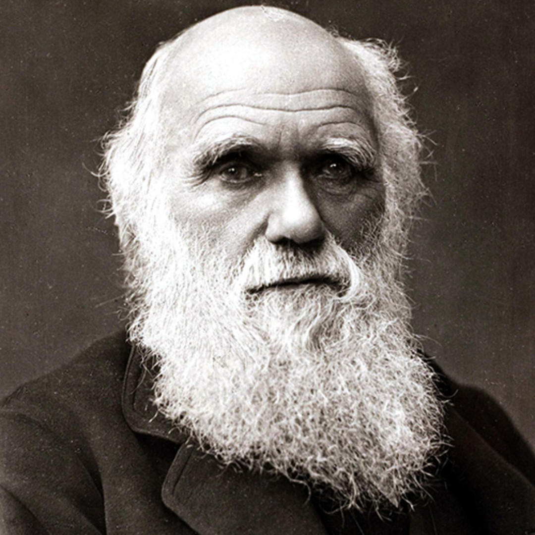 有人想改写达尔文的进化论？为此，学术界掀起了一场隐秘的大战