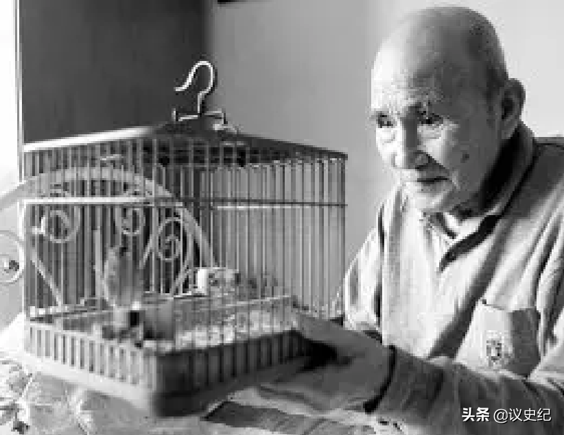 感動中國2005（他的落選，真是《感動中國》最大的失敗）