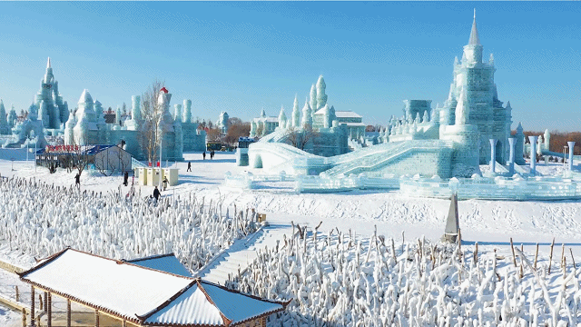 冬天的日本旅游景点（你知道，东北的冬天哪些地方最好玩吗？）