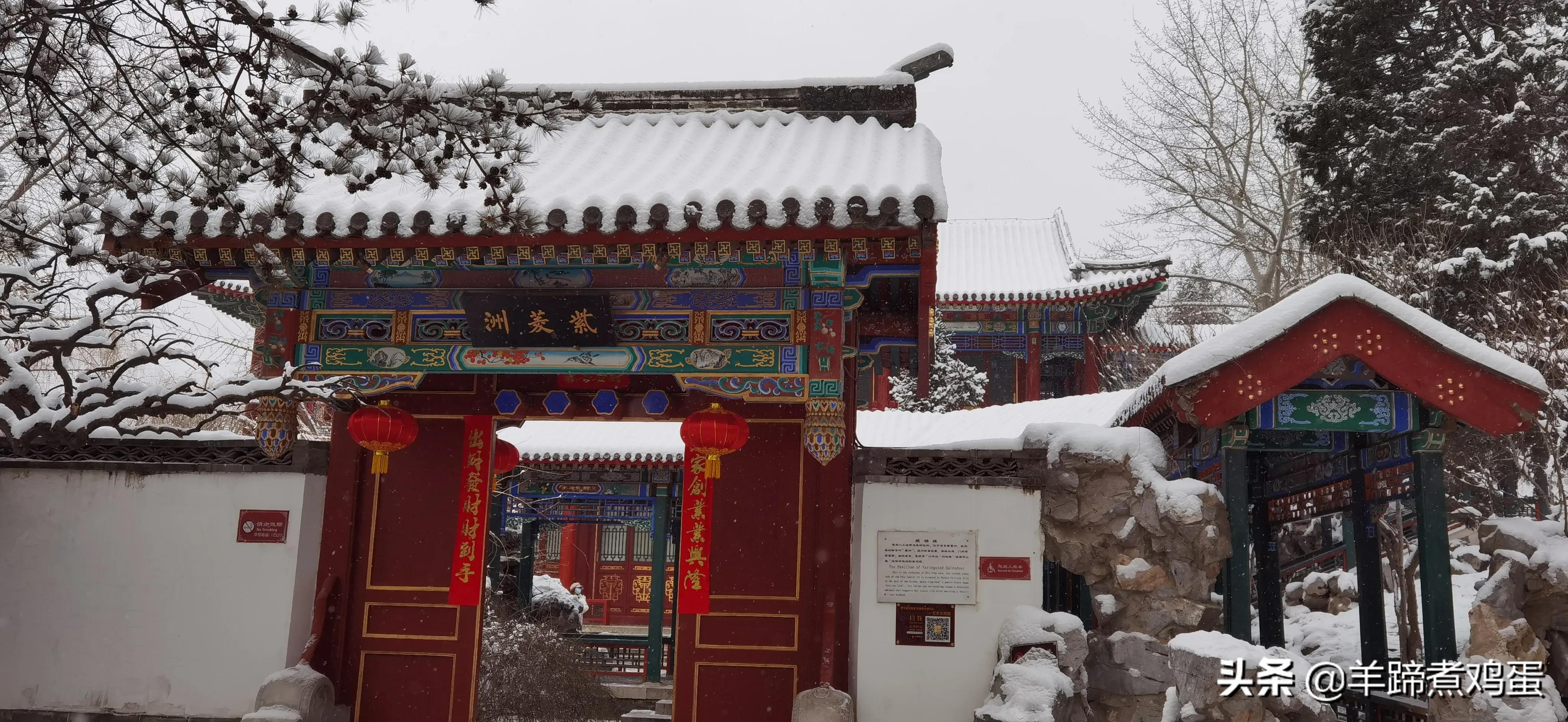 难览观园全画景雪覆腊梅一隅香——踏雪寻游北京大观园