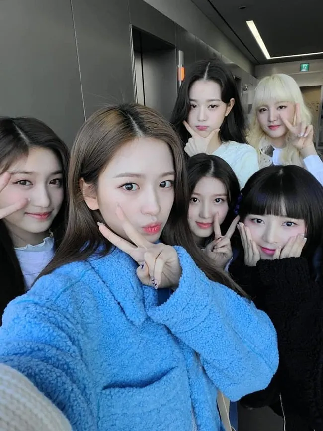 TWICE也有望出演《Queendom》第二季吗;新人女团IVE再次陷入争议