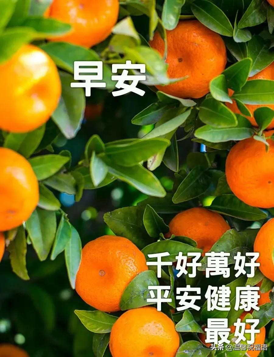 創意好看的早上好免打字圖片帶祝福語 冬天早安問候語圖片帶字溫馨