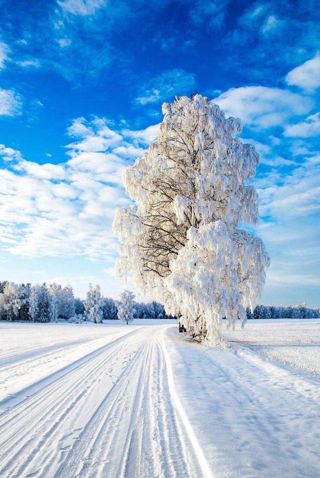 散文诗：感怀四季 雪天有感