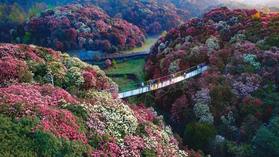 贵州多景区推出旅游优惠政策