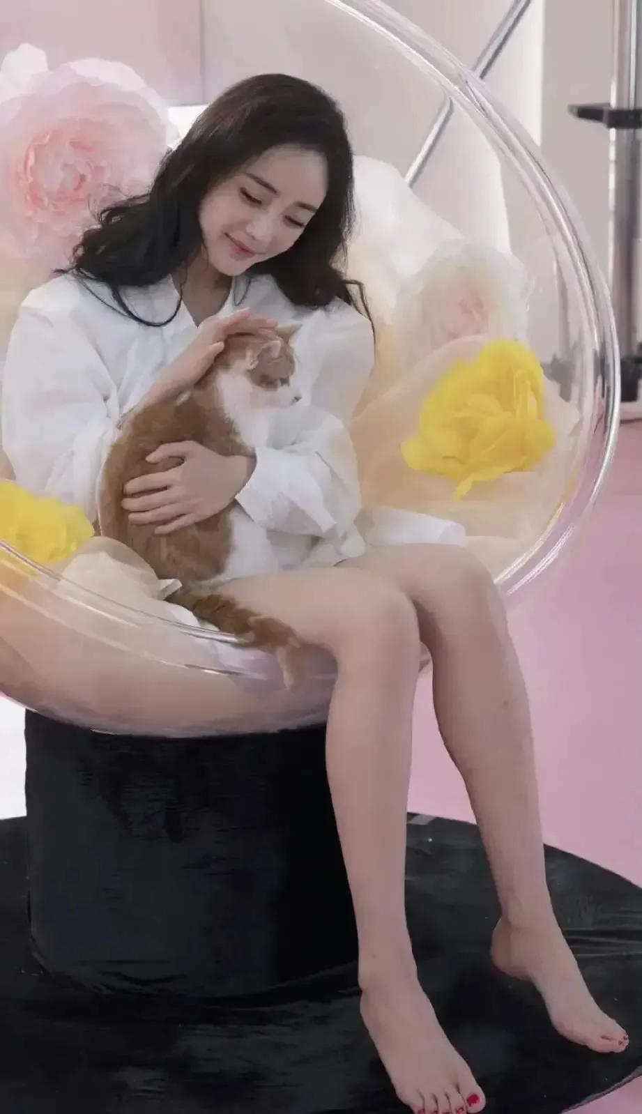 明星杨幂壁纸