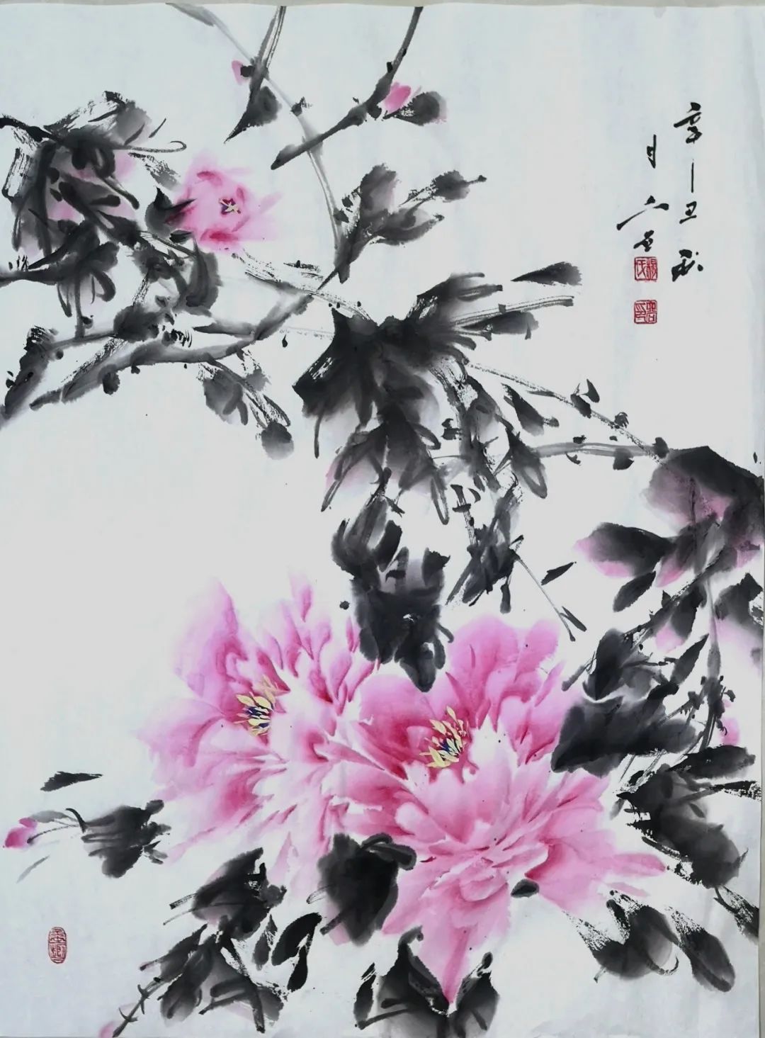 杨磊磊 国画牡丹作品赏析