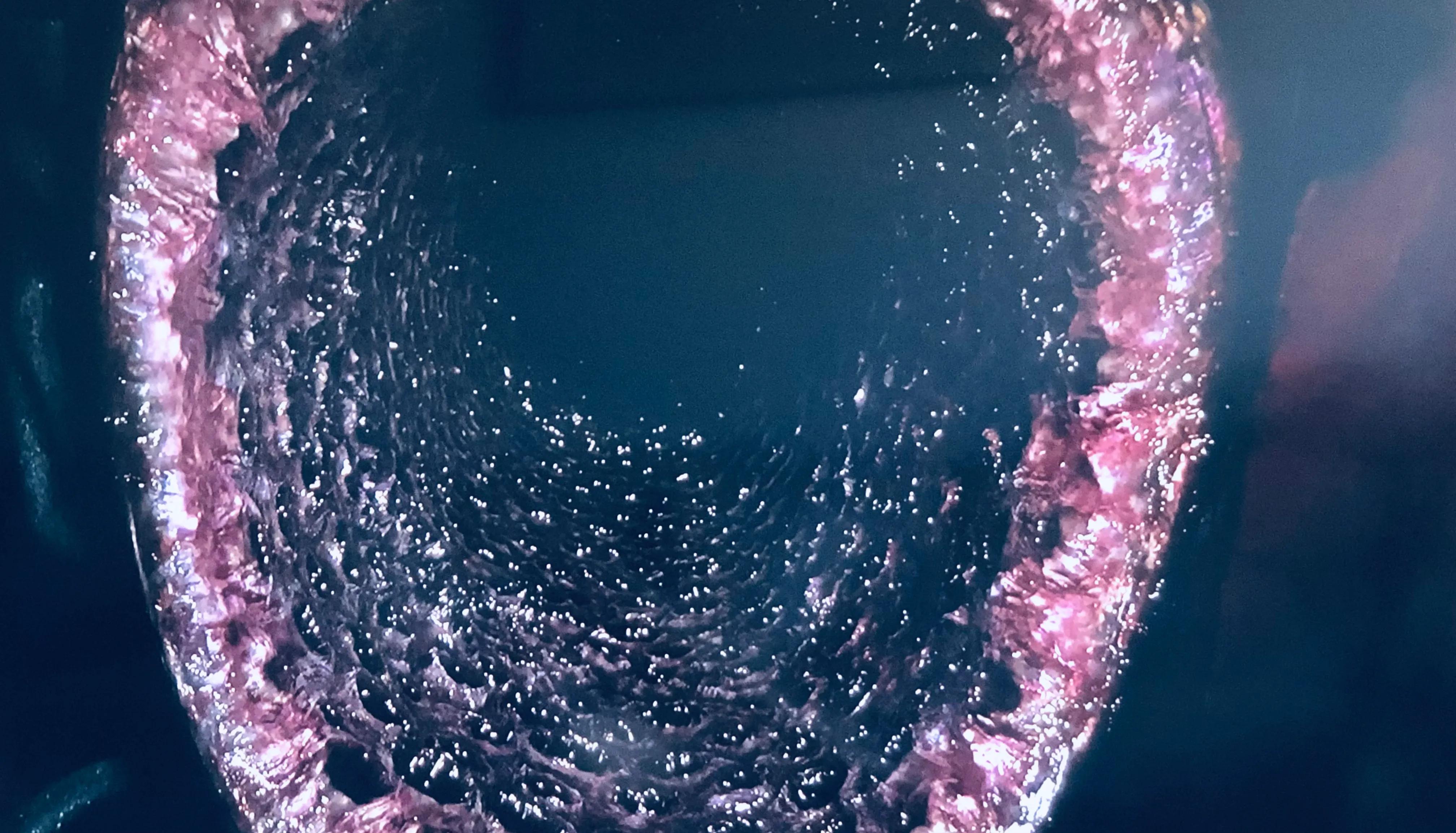 年度最恐怖电影《咒》不敢看？五分钟告诉你讲的啥，很精彩