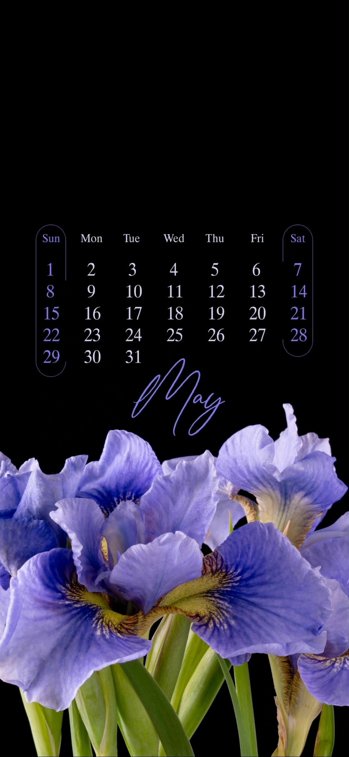 Iphone动态壁纸怎么弄 苹果设置自己的动态壁纸 万网时代