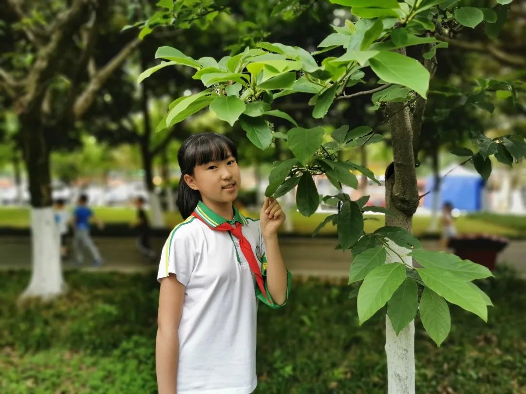 青春不散场·梦想正启航｜记四川天府新区锦江小学大队委欢送活动