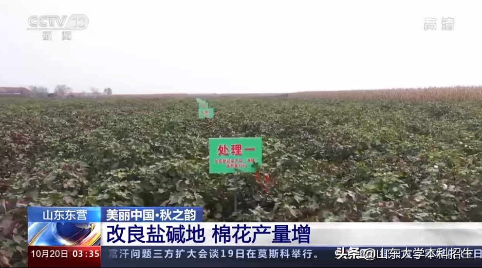 这个2021，山东大学备受瞩目！频频登上央视，受到新闻联播关注！