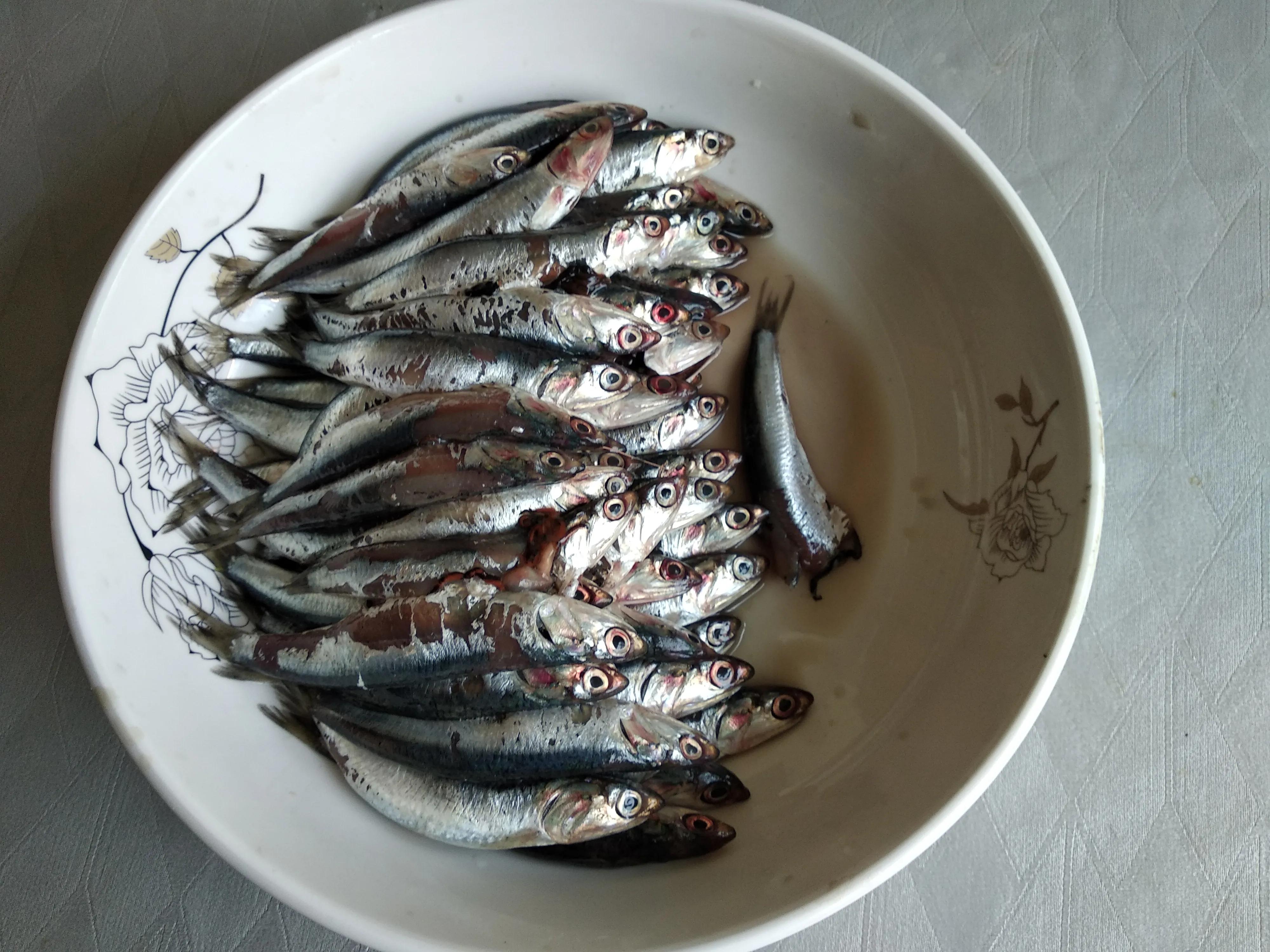 8,鮁魚食