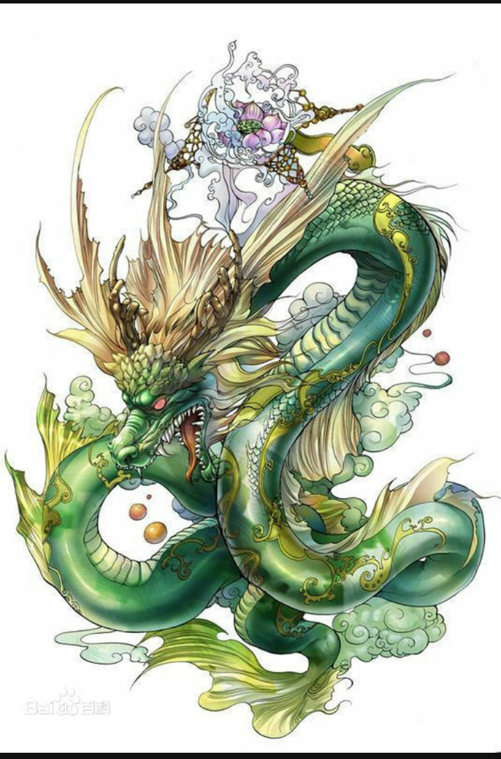 四圣定四方,五行分阴阳——四大圣兽知多少?