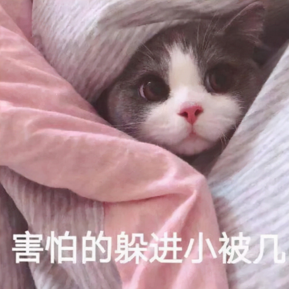 广东工业大学东风路校区（十所大学九个坟）