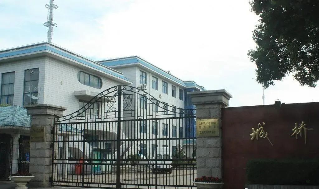 揭秘！上海15所“特色普通高中”，究竟“特”在哪里？