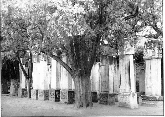 临安府石屏州科举，有你家的进士吗？石屏文化的密码是这样的