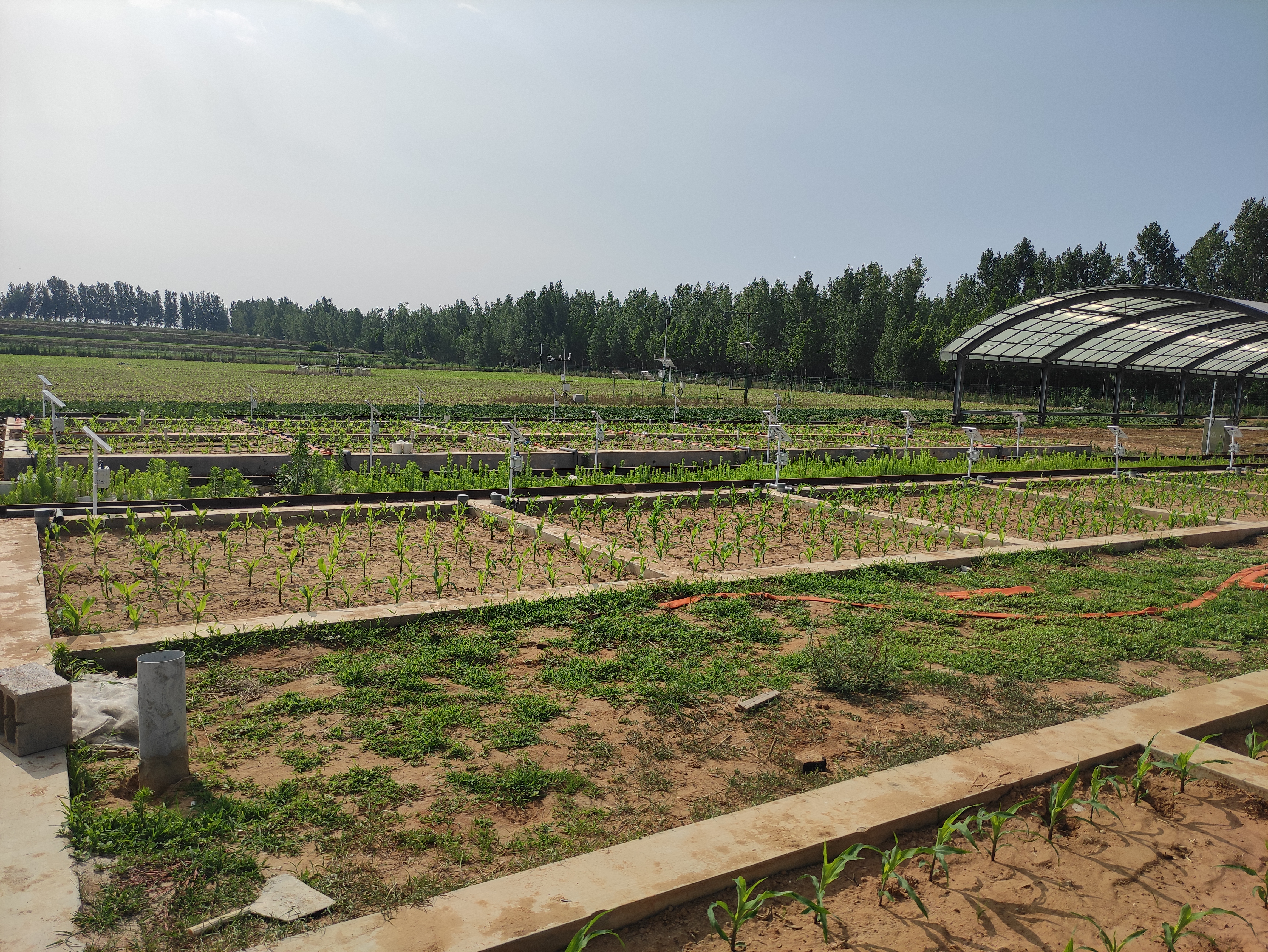 土壤墒情监测设备在果园中的应用