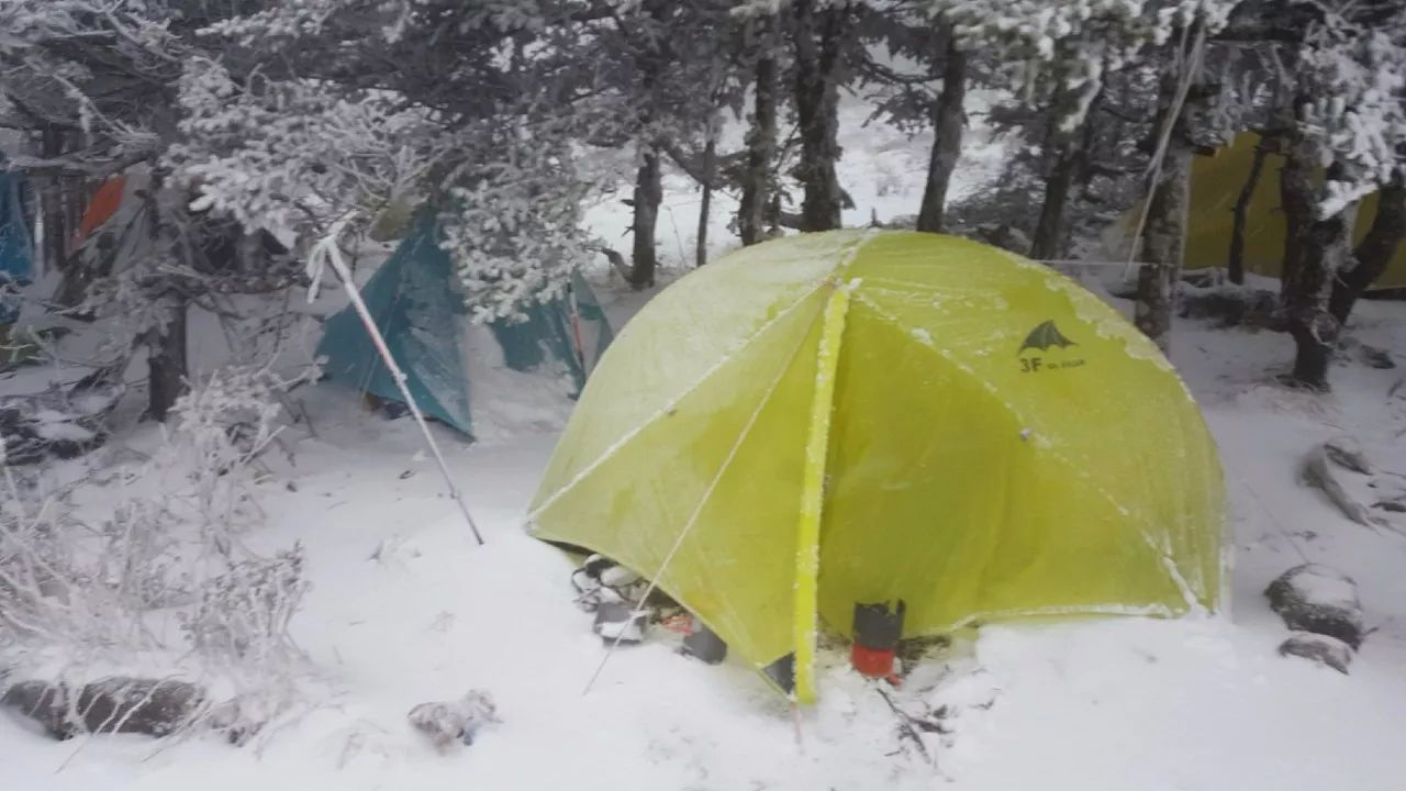 又有驴友擅闯秦岭禁地！95后女诗人遇难，5年死亡46人仍屡禁不止