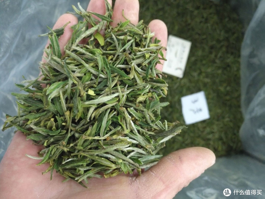 “十大名茶”哪些值得喝？盤點京東上那些好喝的十大名茶茶葉