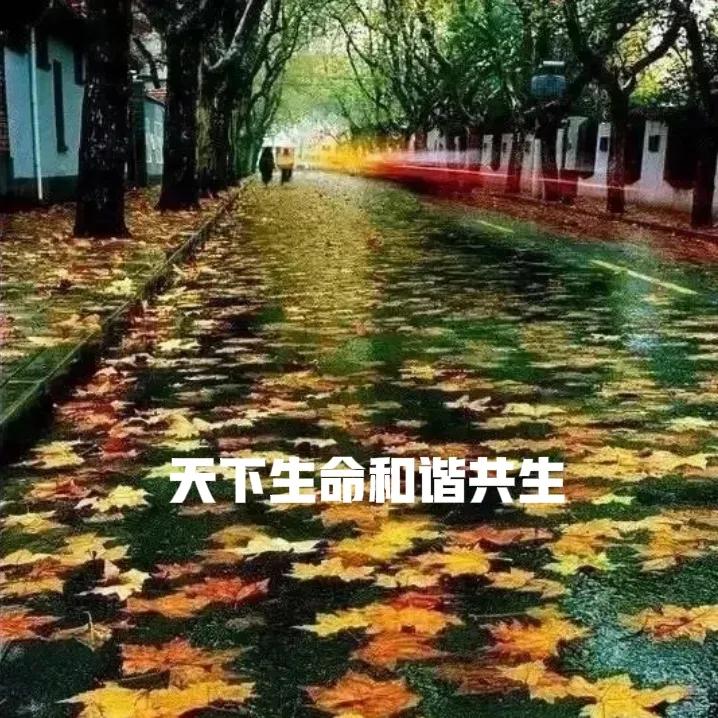 长寿自己说了算 慈爱 和气 简朴 安静 藏族高僧金句