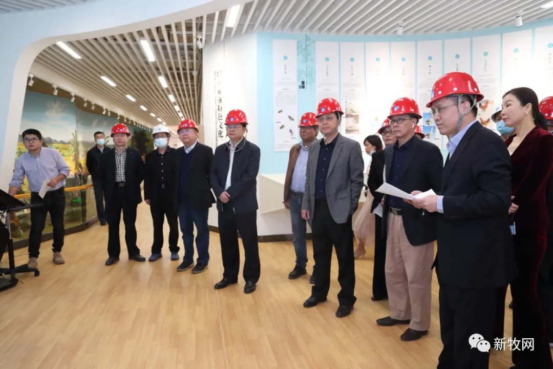 再也不用担心广东土猪土鸡会灭种了！投资5000万元的广东省畜禽种质资源库建成投入运行